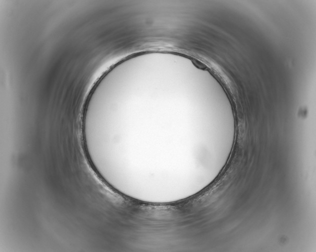 X0000093361432200711011158