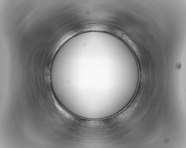 X0000093361433200711011158