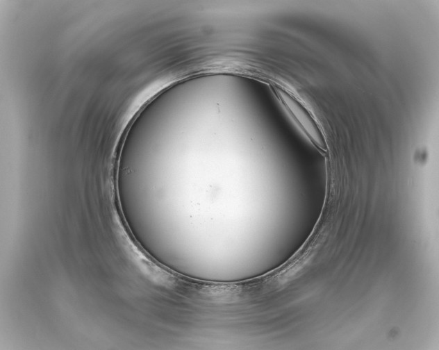 X0000093361434200711011158