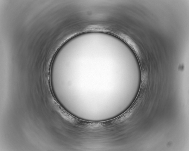 X0000093361435200711011158