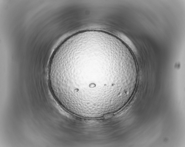 X0000093361436200711011158