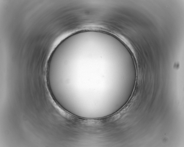 X0000093361437200711011158