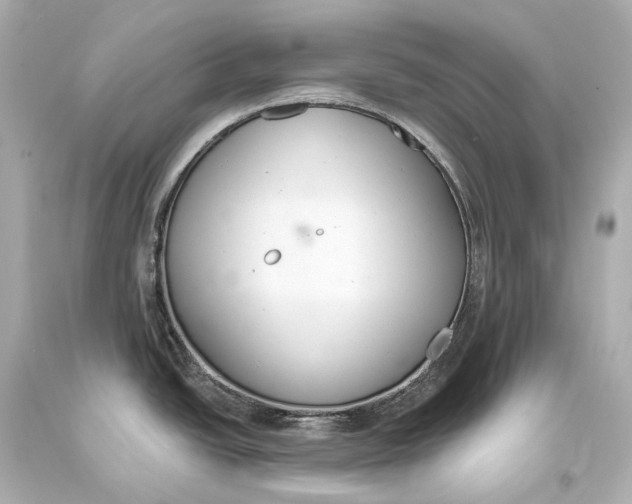 X0000093361438200711011158