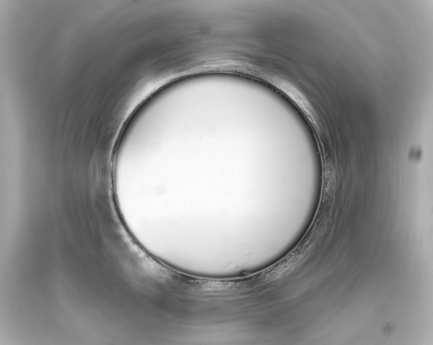 X0000093361439200711011158