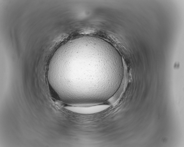 X0000093361441200711011157