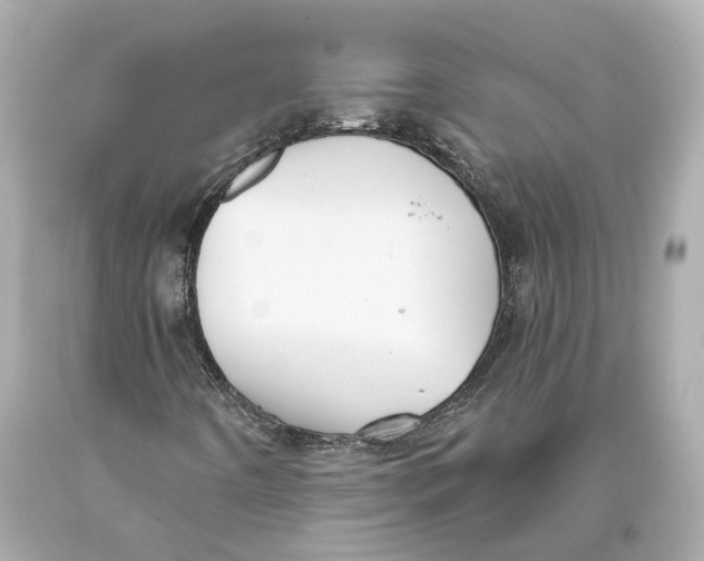 X0000093361442200711011157