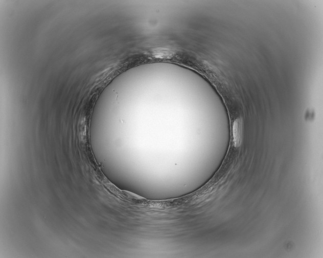 X0000093361443200711011157