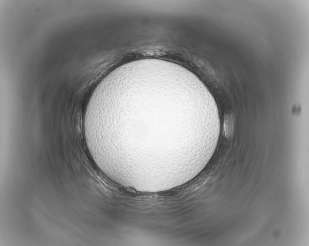 X0000093361444200711011157