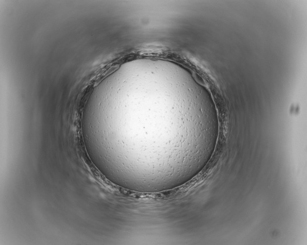 X0000093361445200711011157