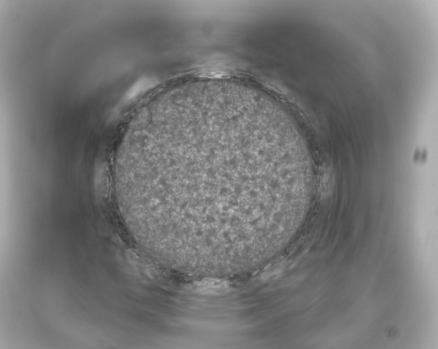 X0000093361446200711011157