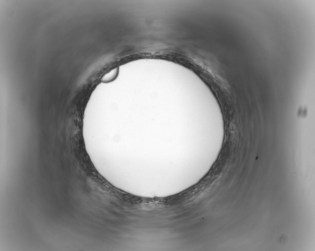 X0000093361447200711011157