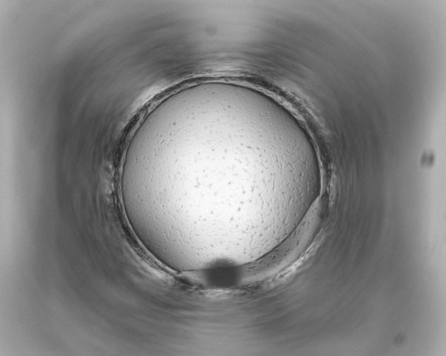 X0000093361449200711011157