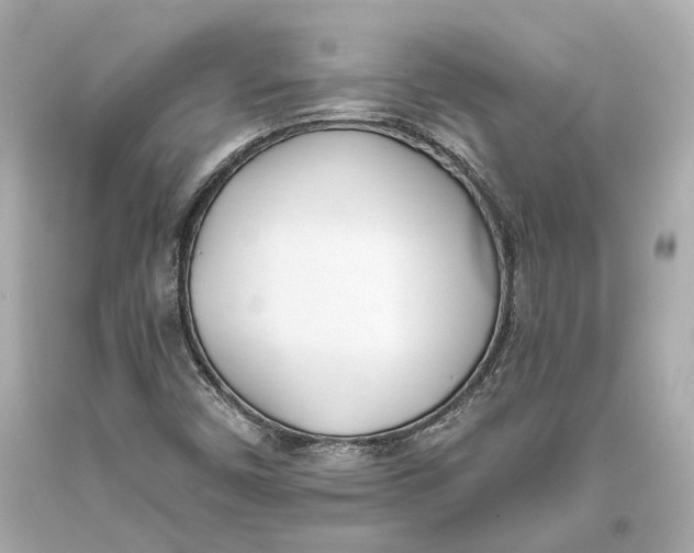 X0000093361450200711011157