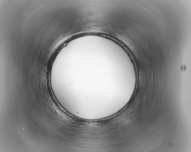 X0000093361452200711011157