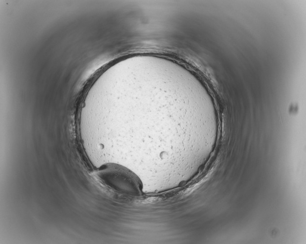 X0000093361453200711011157