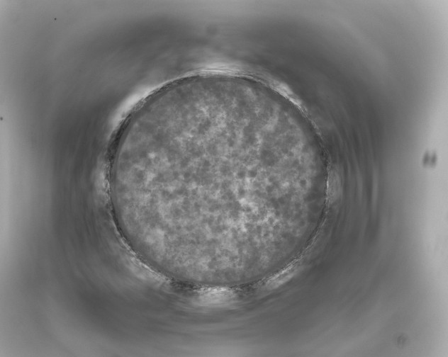 X0000093361454200711011157