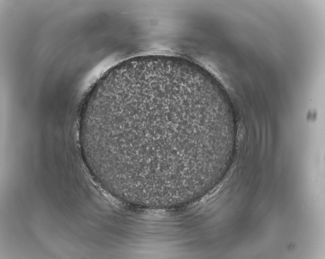 X0000093361455200711011157