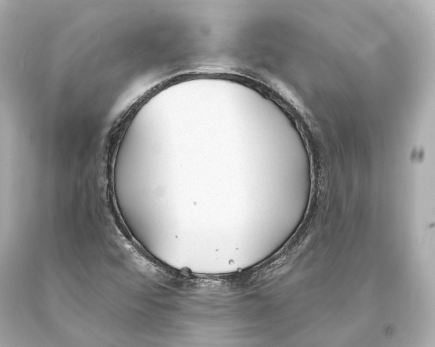 X0000093361456200711011157