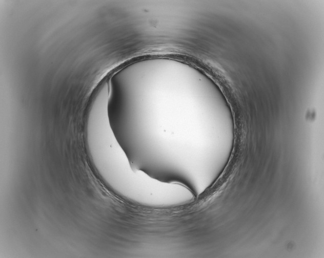 X0000093361457200711011157