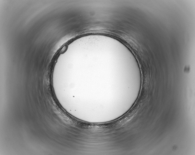 X0000093361458200711011157