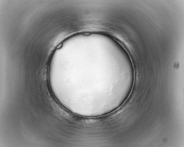 X0000093361459200711011157