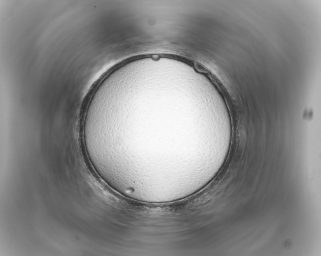 X0000093361460200711011157