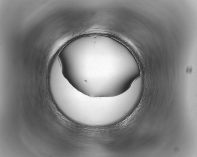 X0000093361461200711011157