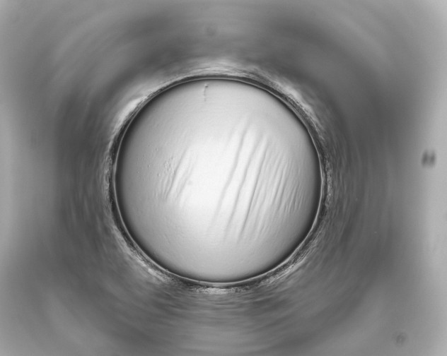 X0000093361463200711011157