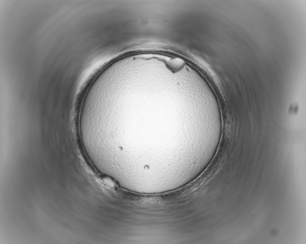 X0000093361464200711011157