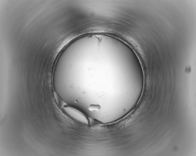 X0000093361465200711011157