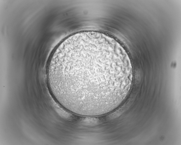 X0000093361466200711011157