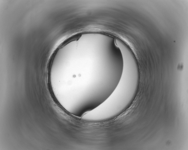 X0000093361467200711011157