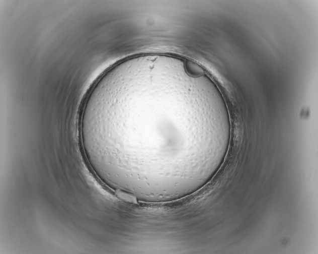 X0000093361468200711011157