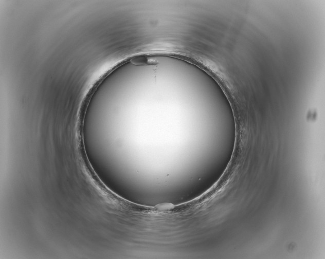 X0000093361469200711011157