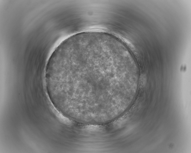 X0000093361470200711011157