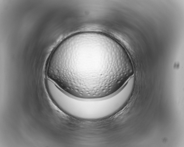 X0000093361471200711011157