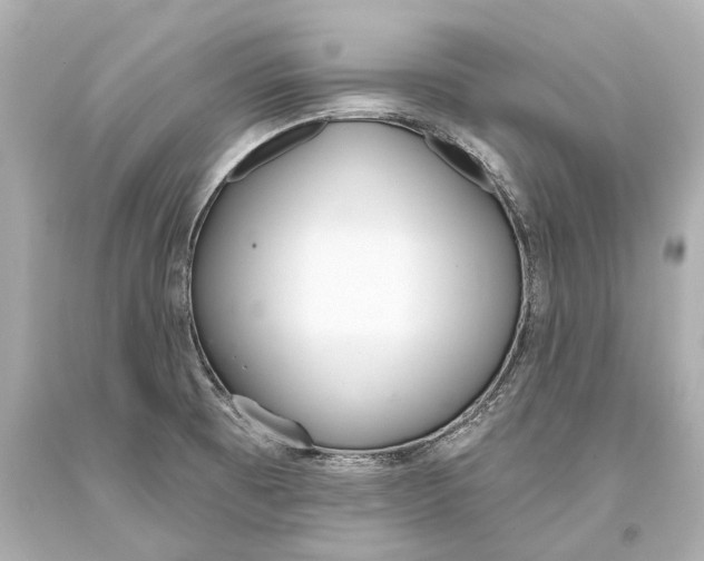 X0000093361473200711011157