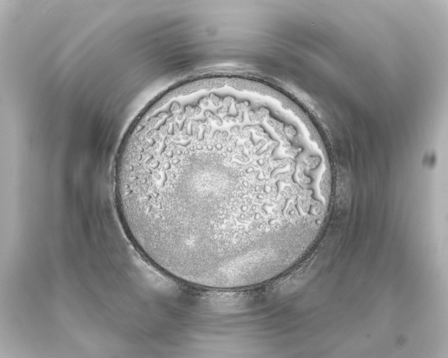 X0000093361474200711011157