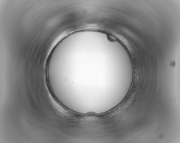 X0000093361475200711011157