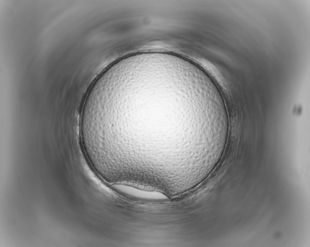 X0000093361476200711011157