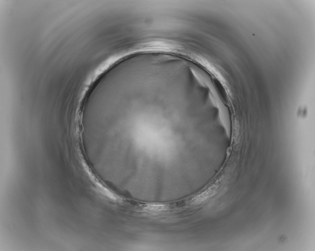 X0000093361477200711011157