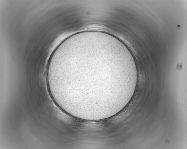 X0000093361478200711011157