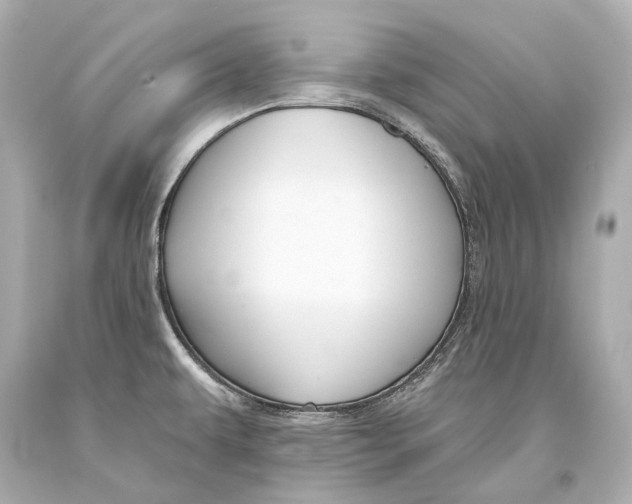 X0000093361479200711011157