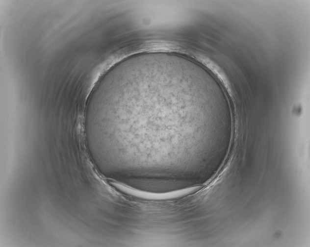 X0000093361481200711011157