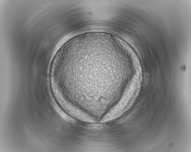 X0000093361482200711011157