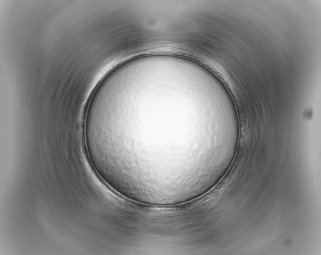 X0000093361483200711011157