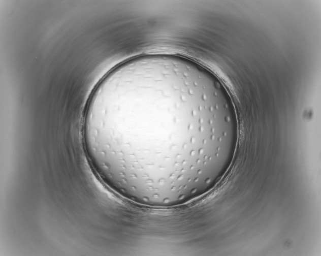 X0000093361484200711011157