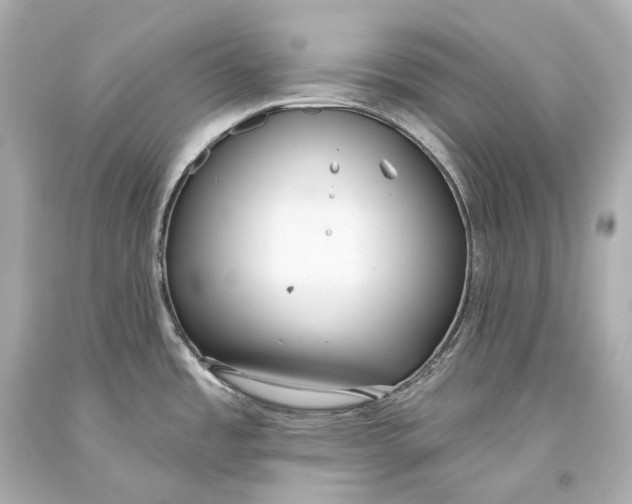 X0000093361485200711011157