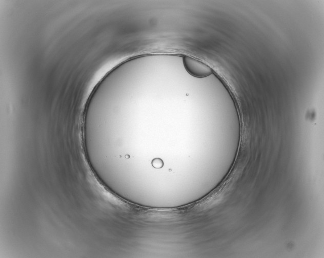 X0000093361486200711011157