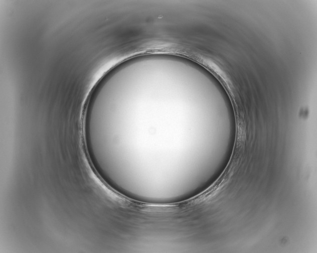 X0000093361487200711011157